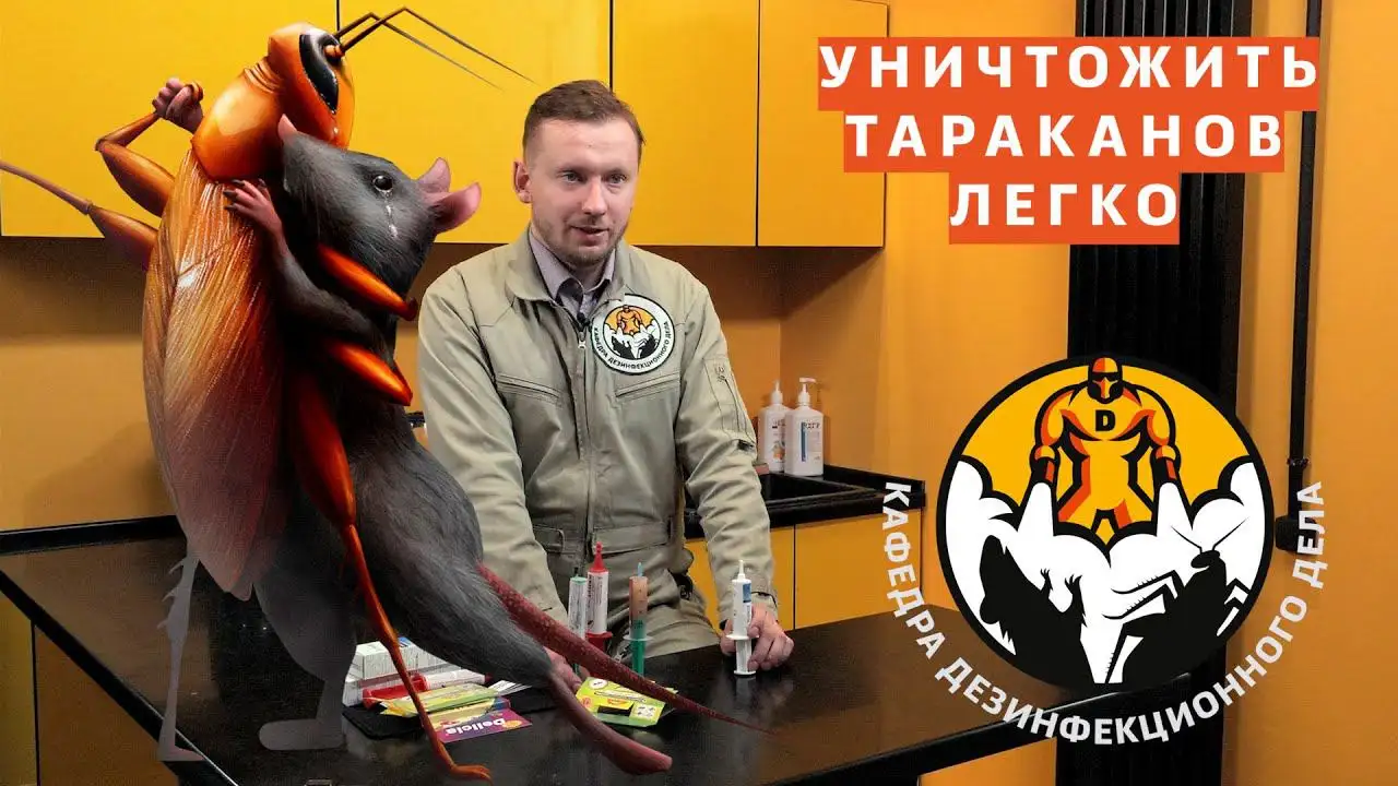 Как уничтожить тараканов легко и практически бесплатно