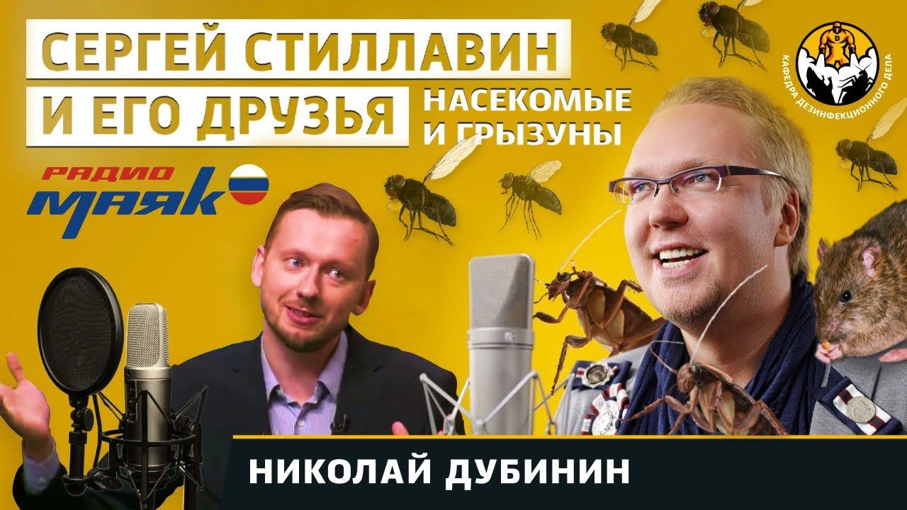 Сергей Стиллавин и врач Николай Дубинин в эфире радио Маяк обсуждают доступные способы борьбы с бытовыми вредителями