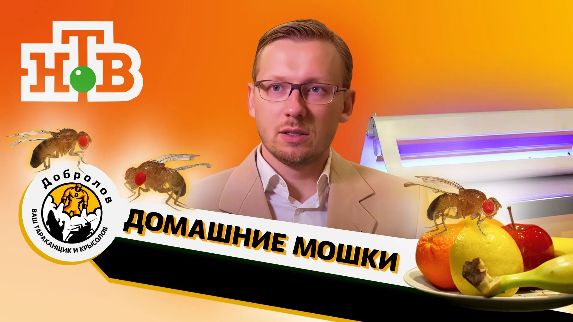 Врач Николай Дубинин о мошках в квартире и правилах хранения продуктов