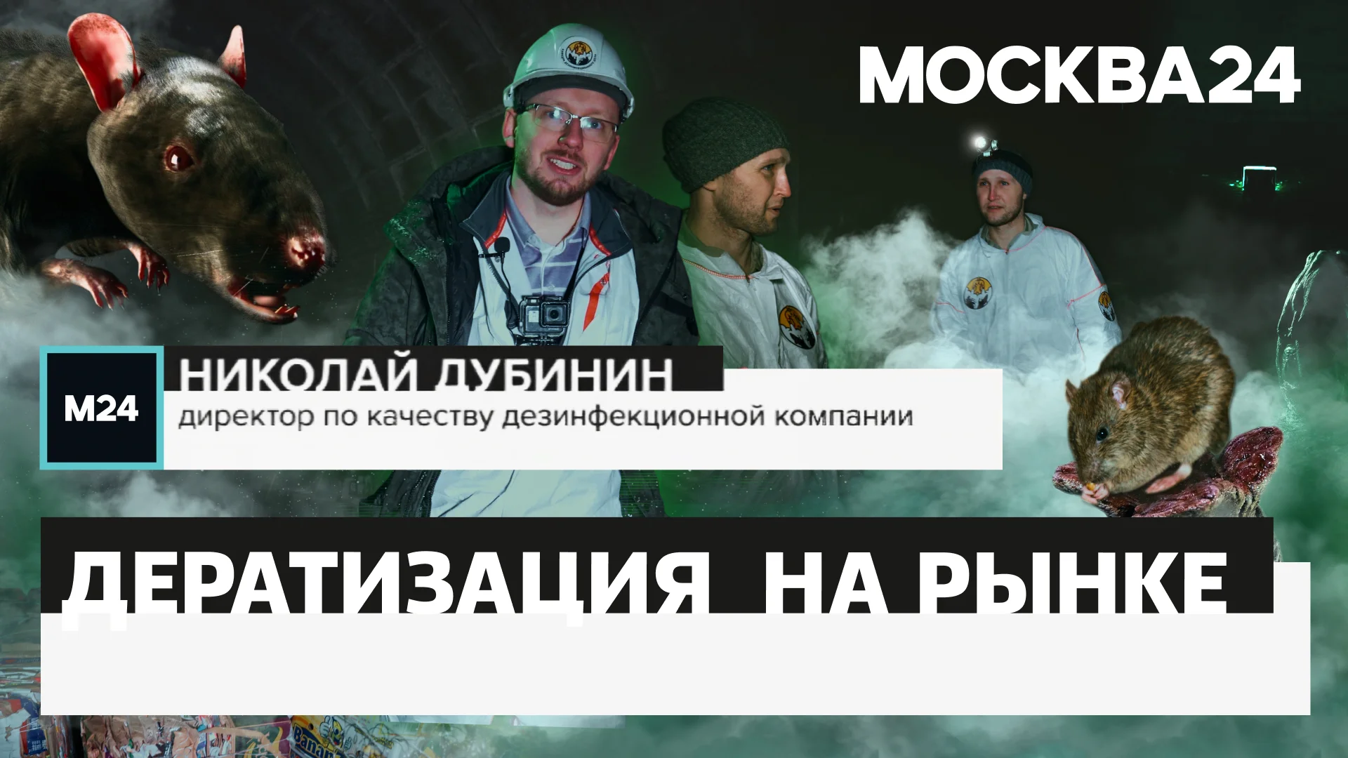 Дератизация рынка